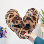 Brown leopard / 36to37