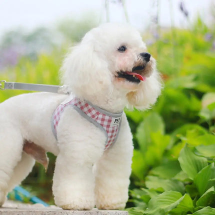 Pet Harness With Handles Adjustable Pet Vest Harness Leashes Set Rotatable Buckle Design Outdoor Training Tool Simple Design Pol