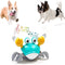 Pet Supplies