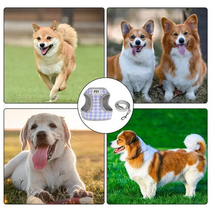 Pet Harness With Handles Adjustable Pet Vest Harness Leashes Set Rotatable Buckle Design Outdoor Training Tool Simple Design Pol