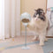 Pet Supplies